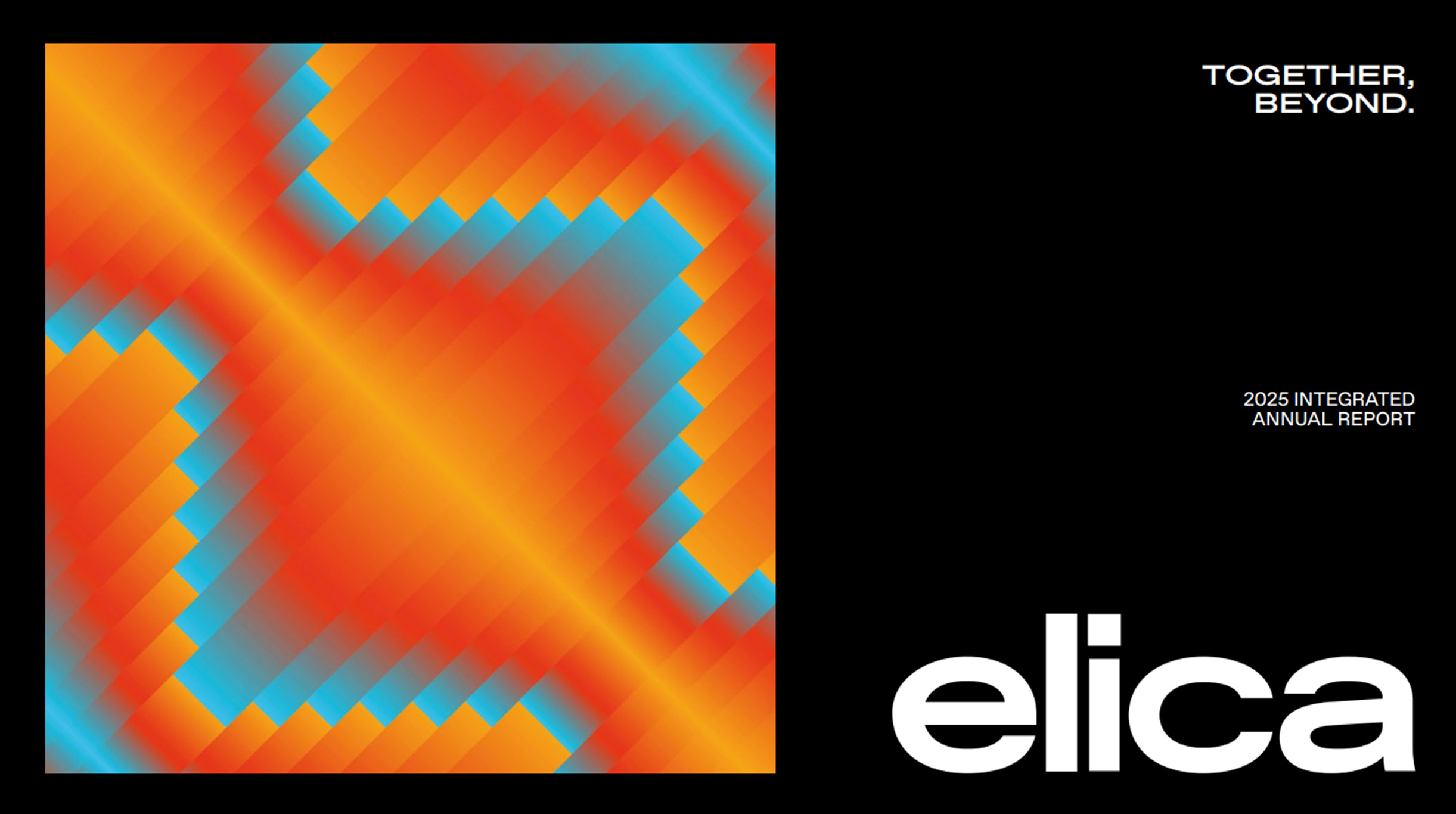 2025 Integrated Annual Report